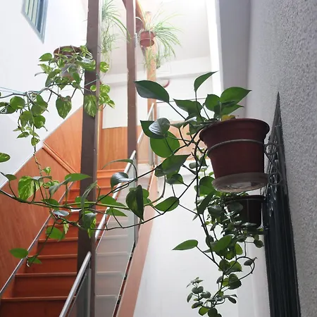 Guest house Angeles Plaza 2*