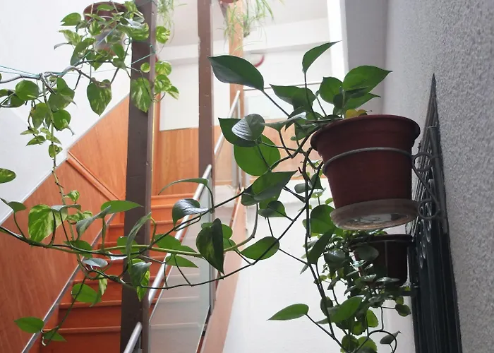 Maison d'hôtes Angeles Plaza 2*